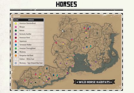 Как приручить дикую лошадь в Red Dead Redemption 2
