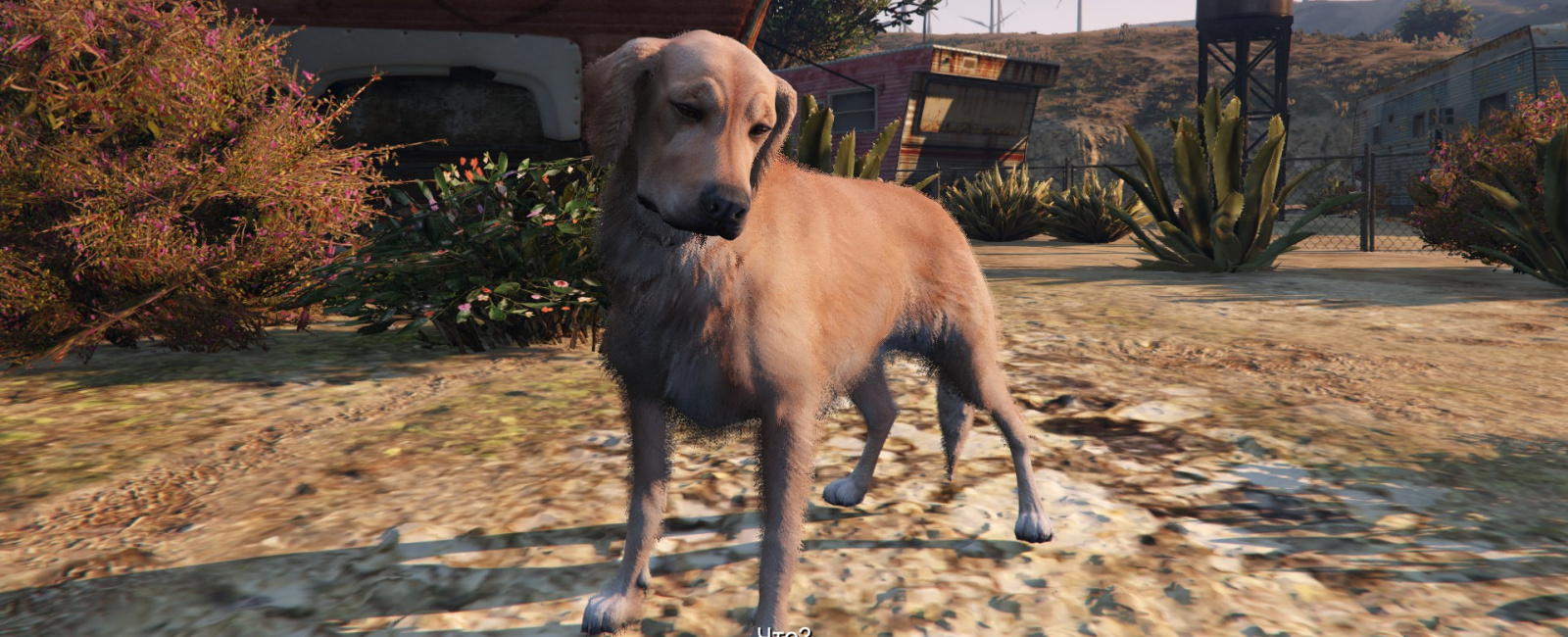 Are there animals in gta 5 фото 57
