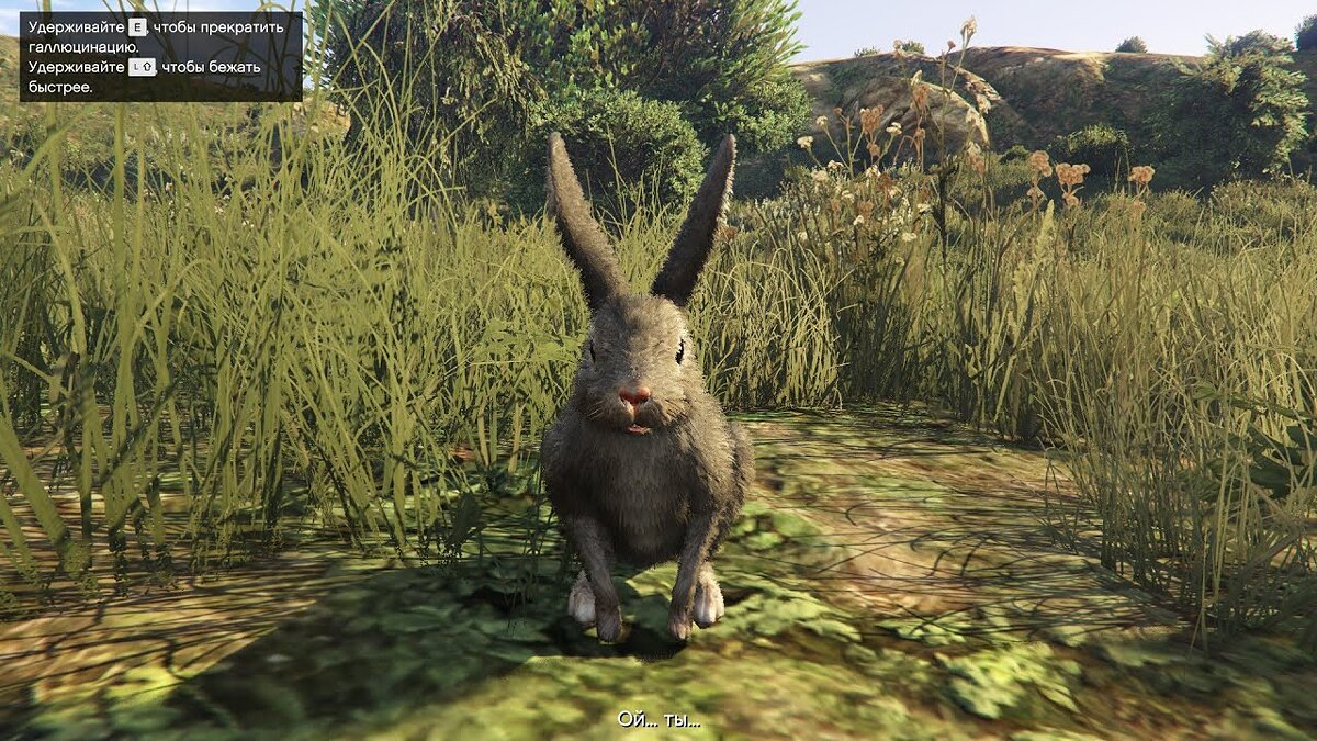 В GTA Online доступно превращение в кролика и бонусы для обладателей бункера