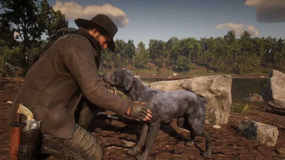  Скончалась собака, сыгравшая в Red Dead Redemption 2